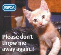 /album/adoptme/kittystar1-jpg/