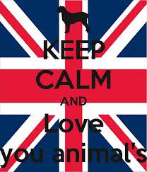 LOVE YOUR ANIMAL'S